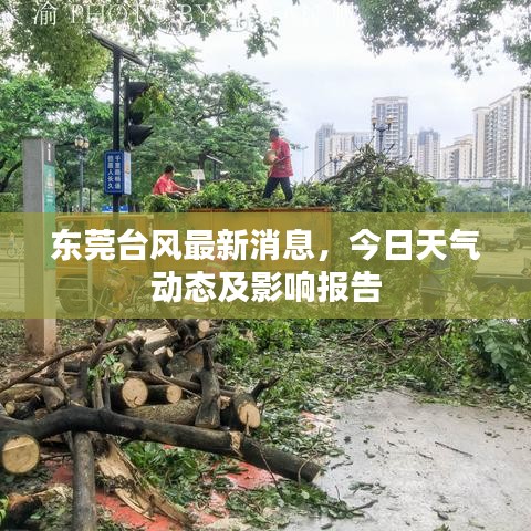 東莞臺風(fēng)最新消息，今日天氣動態(tài)及影響報告