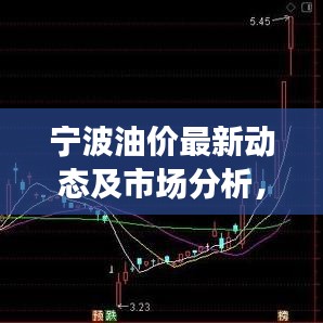 寧波油價最新動態(tài)及市場分析，今日關(guān)注焦點