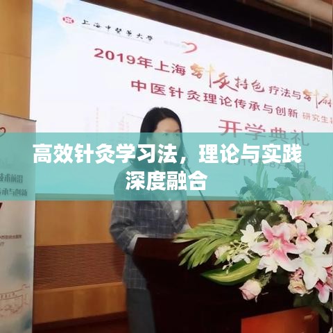 高效針灸學(xué)習(xí)法，理論與實(shí)踐深度融合