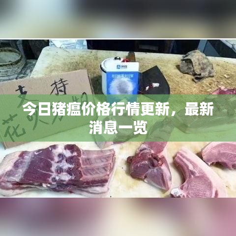 今日豬瘟價格行情更新，最新消息一覽