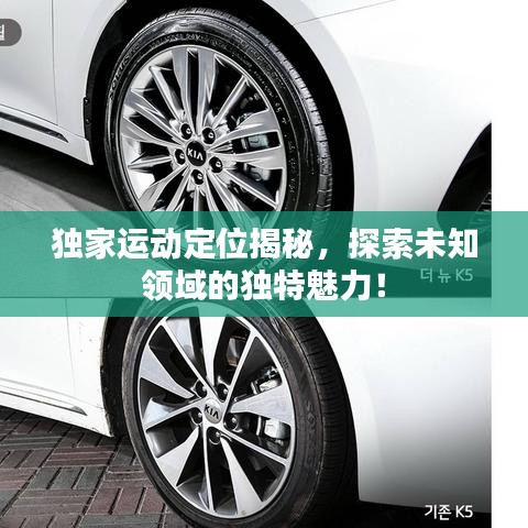 獨(dú)家運(yùn)動(dòng)定位揭秘，探索未知領(lǐng)域的獨(dú)特魅力！