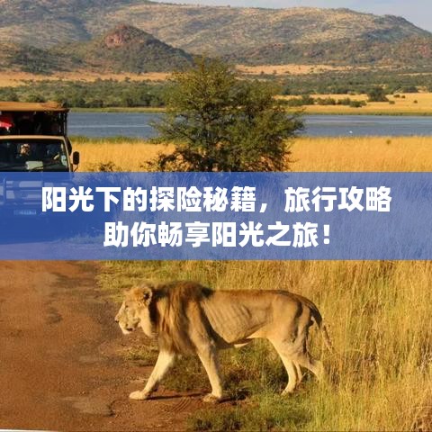 陽(yáng)光下的探險(xiǎn)秘籍，旅行攻略助你暢享陽(yáng)光之旅！