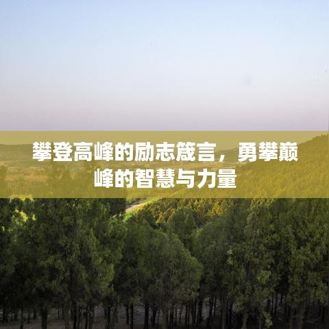 攀登高峰的勵志箴言，勇攀巔峰的智慧與力量