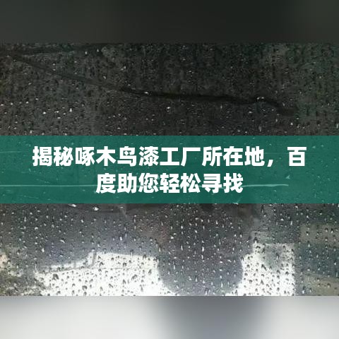 揭秘啄木鳥漆工廠所在地，百度助您輕松尋找