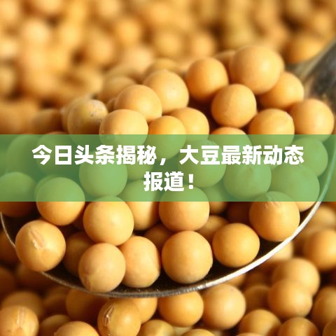 今日頭條揭秘，大豆最新動態(tài)報道！