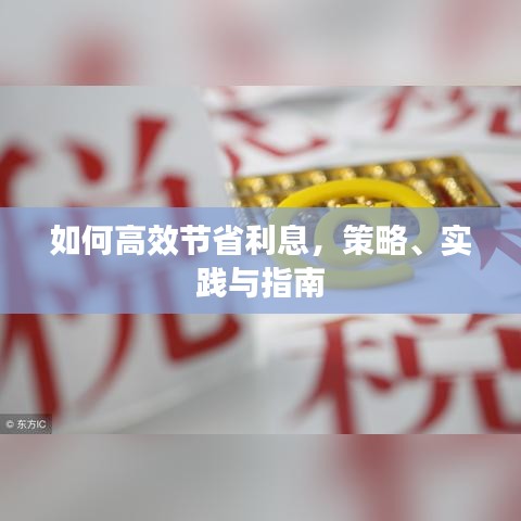 如何高效節(jié)省利息，策略、實(shí)踐與指南