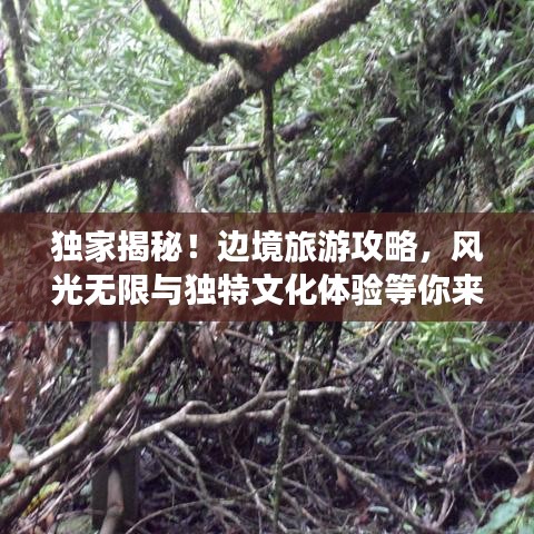 獨(dú)家揭秘！邊境旅游攻略，風(fēng)光無限與獨(dú)特文化體驗(yàn)等你來探秘！