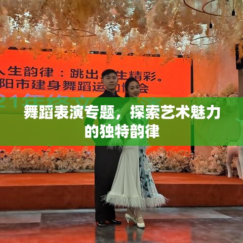 舞蹈表演專題，探索藝術(shù)魅力的獨(dú)特韻律