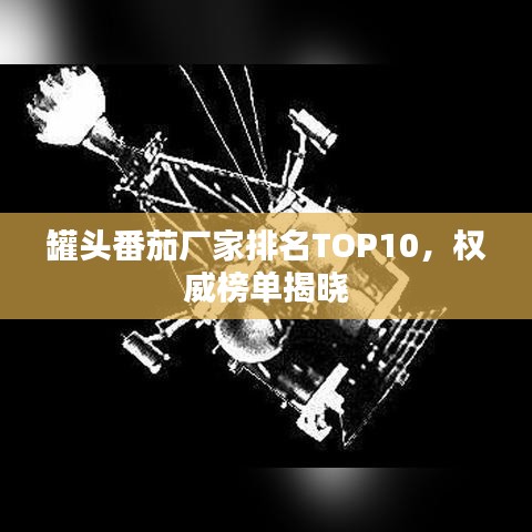 罐頭番茄廠家排名TOP10，權(quán)威榜單揭曉