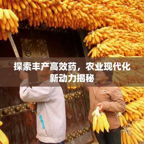 探索豐產(chǎn)高效藥，農(nóng)業(yè)現(xiàn)代化新動力揭秘
