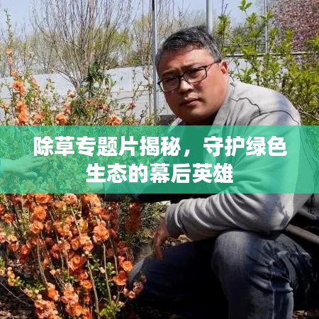除草專(zhuān)題片揭秘，守護(hù)綠色生態(tài)的幕后英雄