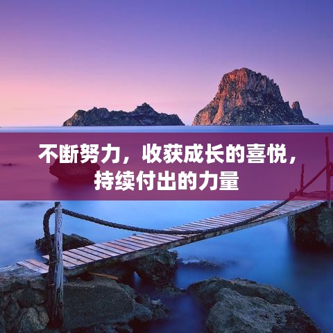 不斷努力，收獲成長的喜悅，持續(xù)付出的力量