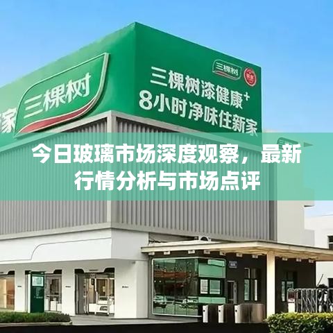 今日玻璃市場深度觀察，最新行情分析與市場點評