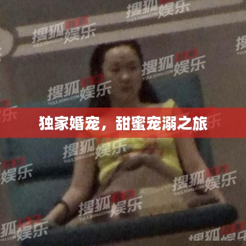 獨家婚寵，甜蜜寵溺之旅
