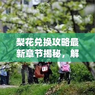 梨花兌換攻略最新章節(jié)揭秘，解鎖虛擬世界財富之門