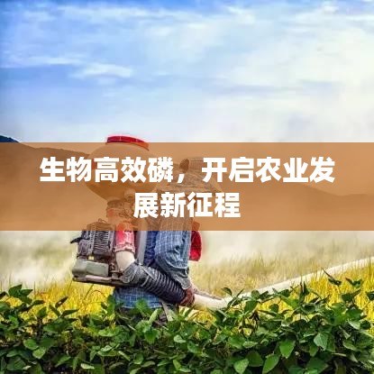 張飛穿針 第2頁