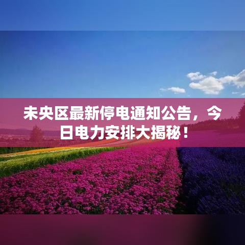 未央?yún)^(qū)最新停電通知公告，今日電力安排大揭秘！