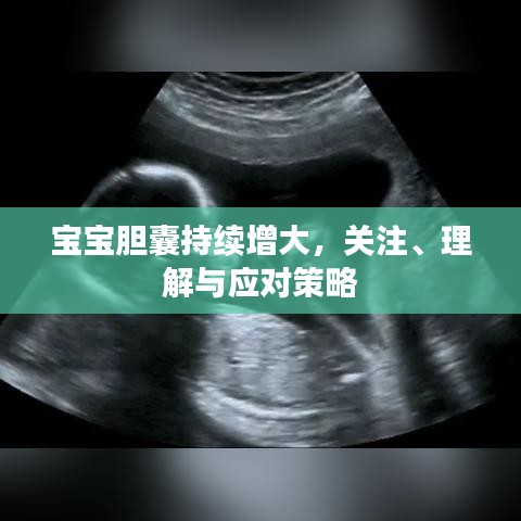寶寶膽囊持續(xù)增大，關(guān)注、理解與應(yīng)對(duì)策略