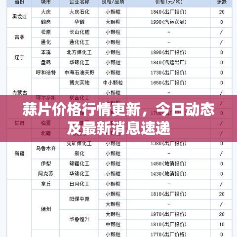 蒜片價格行情更新，今日動態(tài)及最新消息速遞