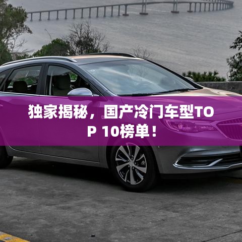 獨(dú)家揭秘，國產(chǎn)冷門車型TOP 10榜單！