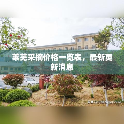 萊蕪采摘價(jià)格一覽表，最新更新消息
