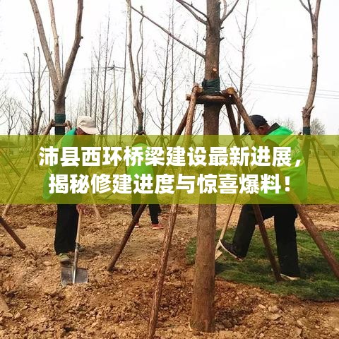 沛縣西環(huán)橋梁建設(shè)最新進(jìn)展，揭秘修建進(jìn)度與驚喜爆料！