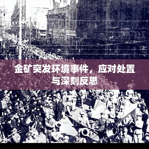 金礦突發(fā)環(huán)境事件，應(yīng)對(duì)處置與深刻反思