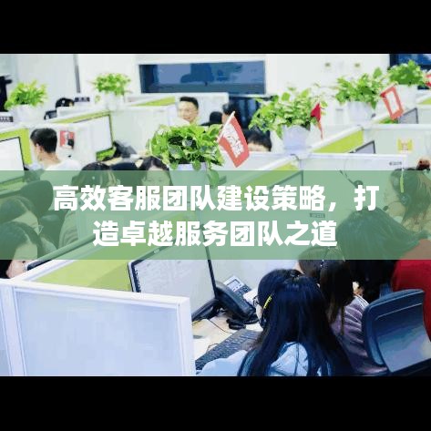 高效客服團隊建設(shè)策略，打造卓越服務(wù)團隊之道