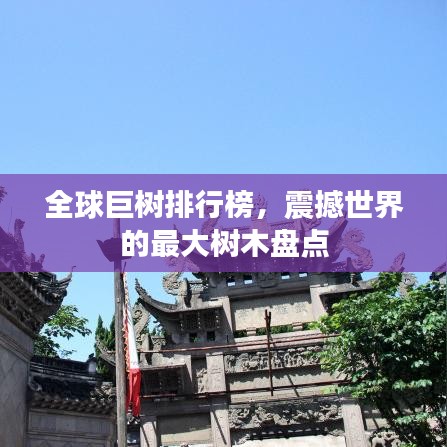 全球巨樹排行榜，震撼世界的最大樹木盤點