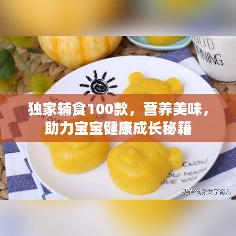 獨家輔食100款，營養(yǎng)美味，助力寶寶健康成長秘籍