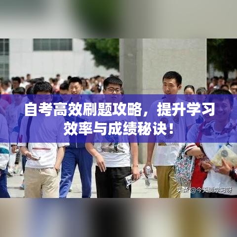 自考高效刷題攻略，提升學(xué)習(xí)效率與成績(jī)秘訣！