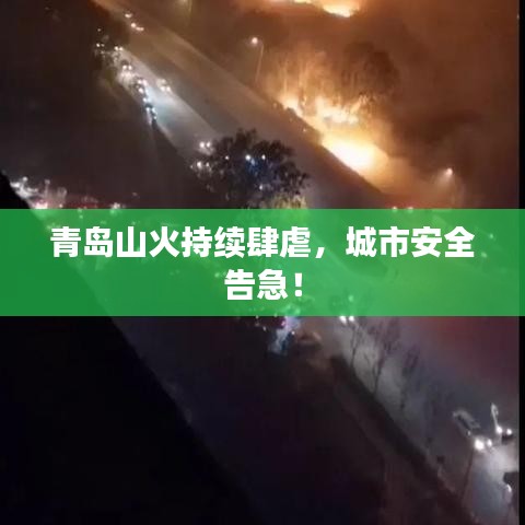 青島山火持續(xù)肆虐，城市安全告急！