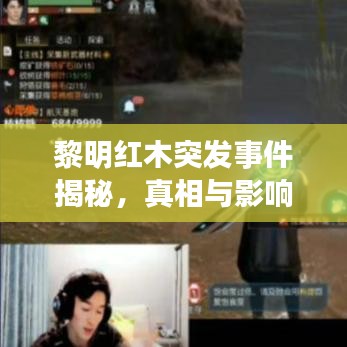 黎明紅木突發(fā)事件揭秘，真相與影響探究