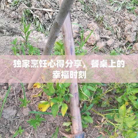 獨(dú)家烹飪心得分享，餐桌上的幸福時(shí)刻