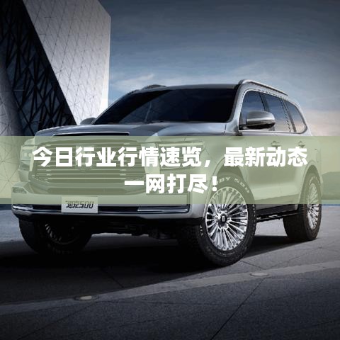今日行業(yè)行情速覽，最新動態(tài)一網(wǎng)打盡！
