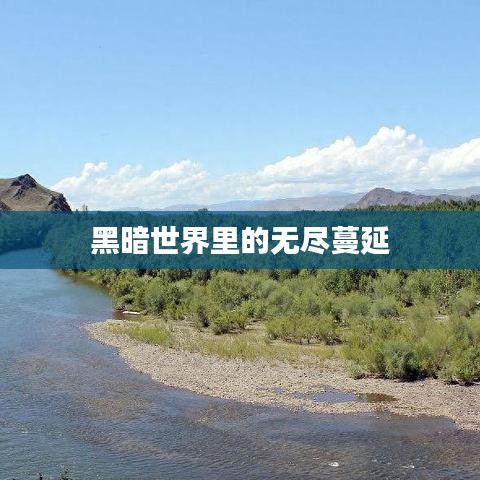 黑暗世界里的無(wú)盡蔓延
