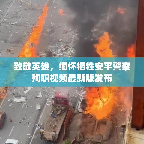 致敬英雄，緬懷犧牲安平警察殉職視頻最新版發(fā)布