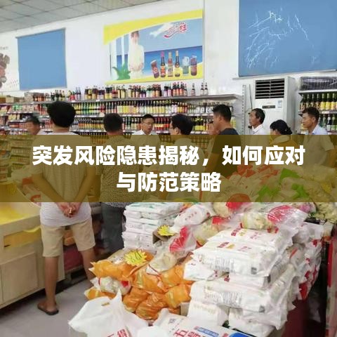 突發(fā)風(fēng)險隱患揭秘，如何應(yīng)對與防范策略