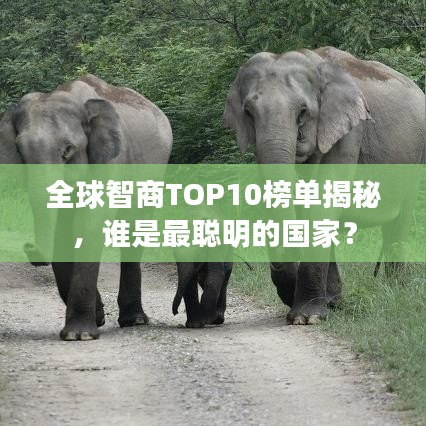 全球智商TOP10榜單揭秘，誰是最聰明的國家？