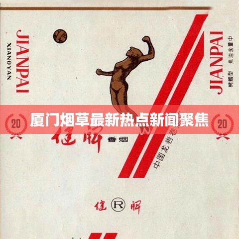 廈門煙草最新熱點(diǎn)新聞聚焦