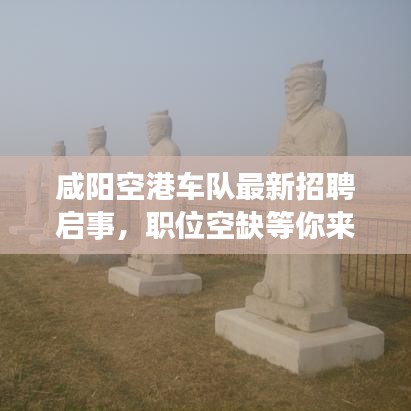 咸陽空港車隊最新招聘啟事，職位空缺等你來挑戰(zhàn)！