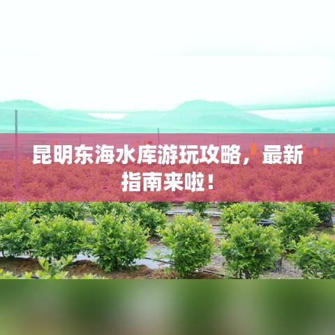 昆明東海水庫游玩攻略，最新指南來啦！