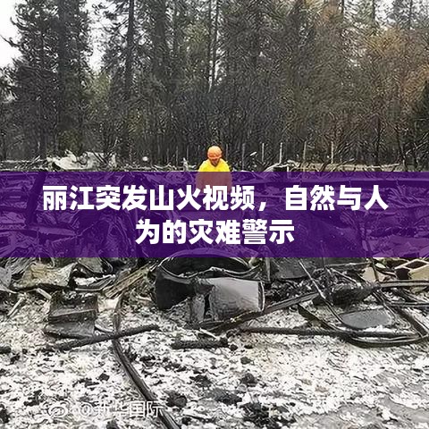 麗江突發(fā)山火視頻，自然與人為的災(zāi)難警示