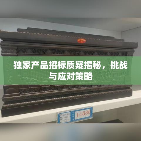 獨(dú)家產(chǎn)品招標(biāo)質(zhì)疑揭秘，挑戰(zhàn)與應(yīng)對(duì)策略