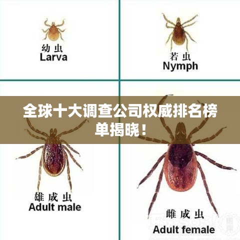 全球十大調(diào)查公司權(quán)威排名榜單揭曉！