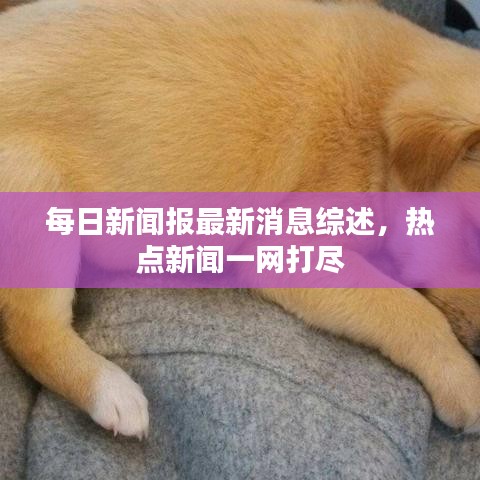 每日新聞報(bào)最新消息綜述，熱點(diǎn)新聞一網(wǎng)打盡